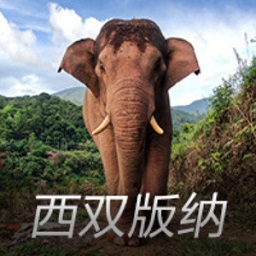 巴萨发布国王杯决赛海报：亚马尔C位，弗里克、佩德里出镜